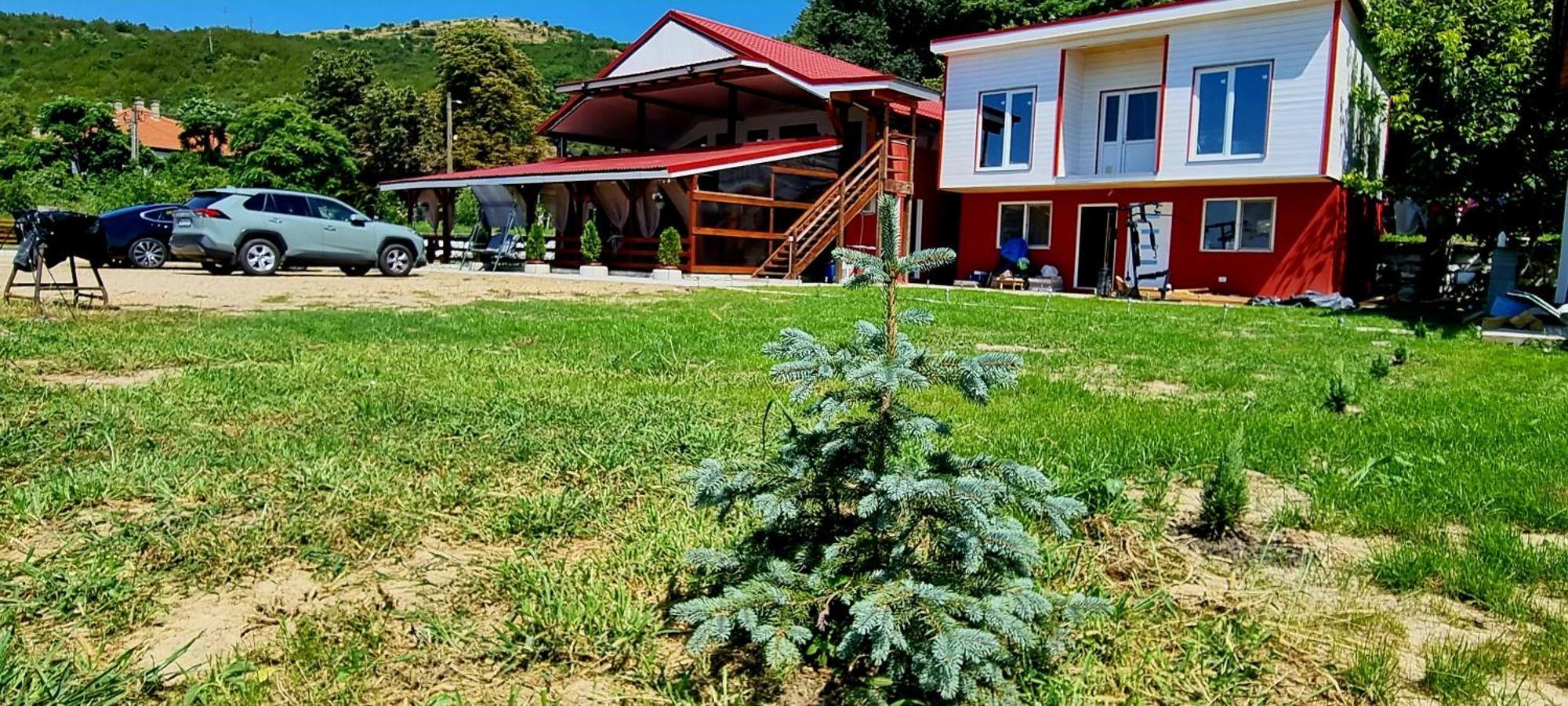 Vila Legrand Bazias Экстерьер фото
